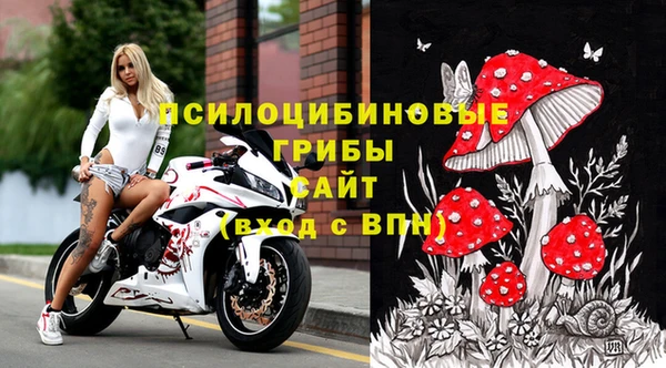 мдпв Белокуриха