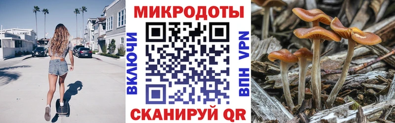 Псилоцибиновые грибы GOLDEN TEACHER  Заполярный 
